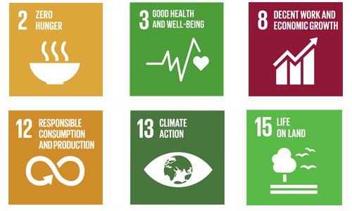 sustainable goals addressed