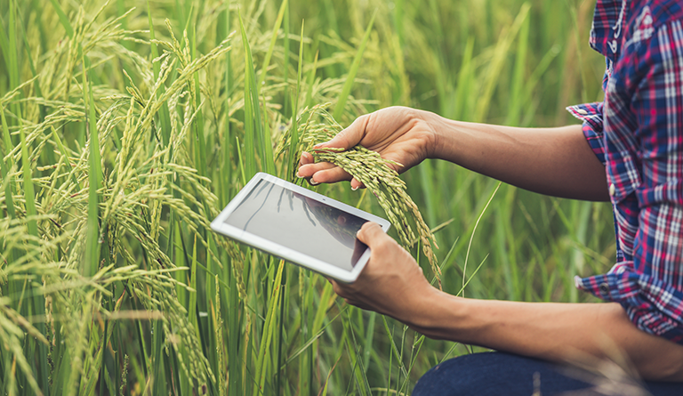 How W2S mutually connect every Indian farmer and potential buyer through technology solutions?