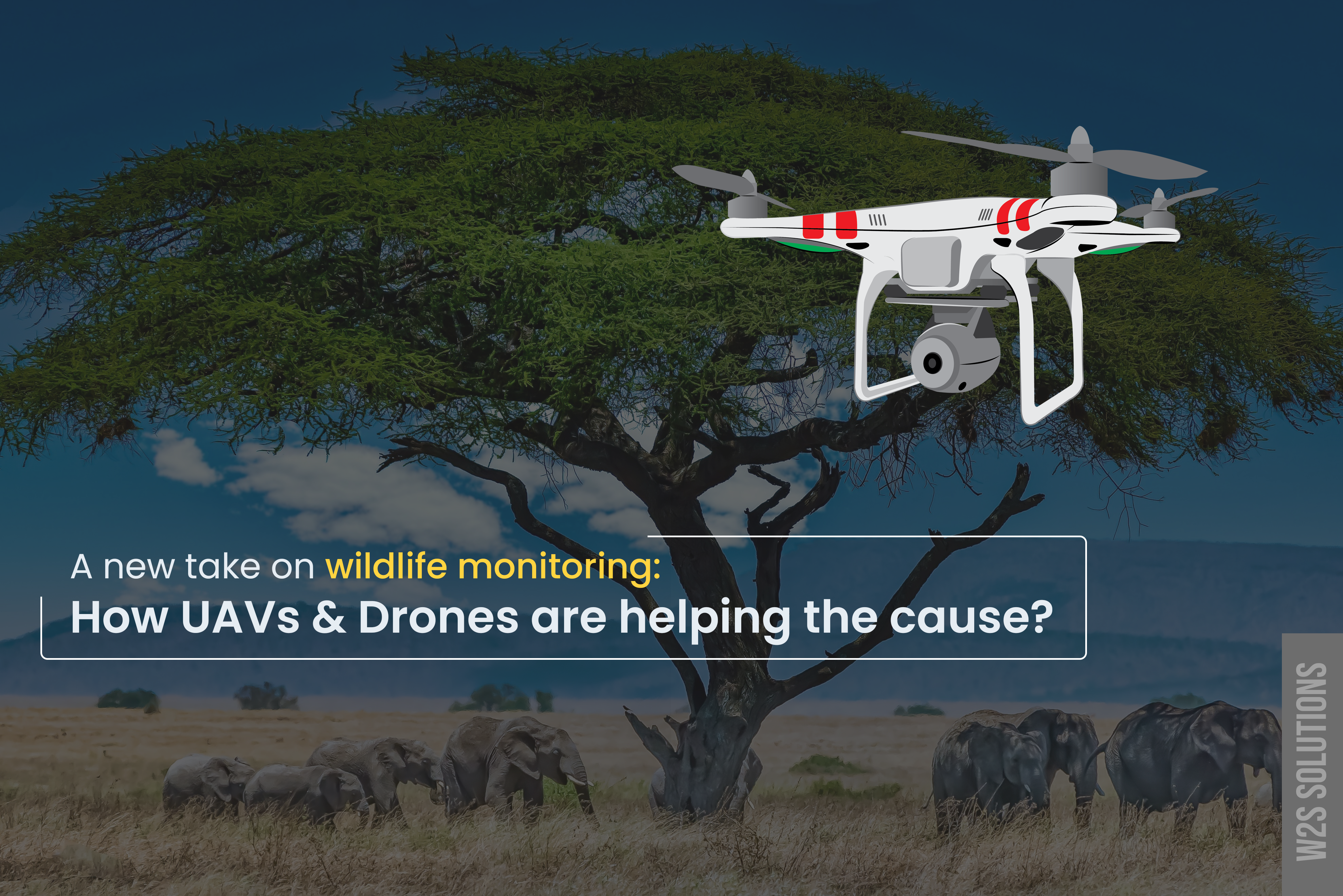 A new take on wildlife monitoring: How are UAVs and drones helping the cause?